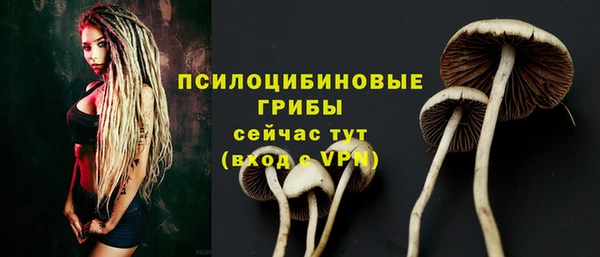 мяу мяу кристалл Нефтекумск