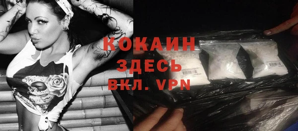 хмурый Новозыбков