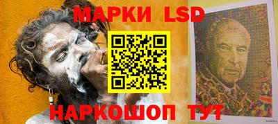 стафф Донской