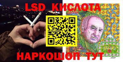 стафф Донской