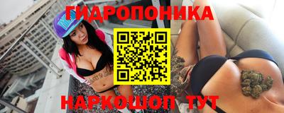 стафф Донской
