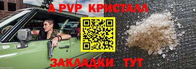 стафф Донской