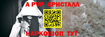 стафф Донской