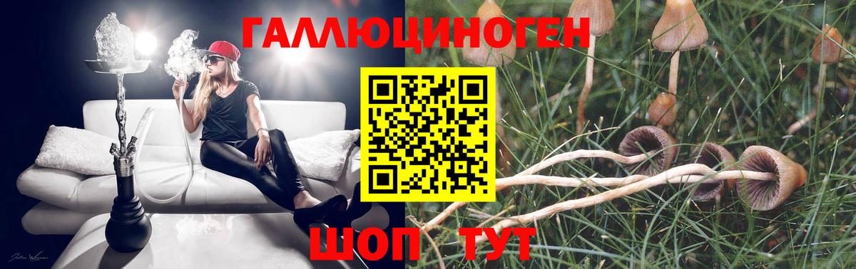 Галлюциногенные грибы мицелий Татарск