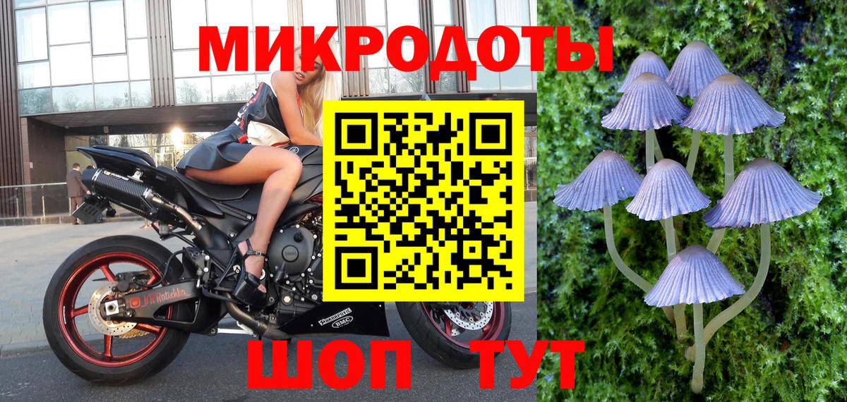 Татарск  Галлюциногенные грибы Cubensis  Вход с VPN 